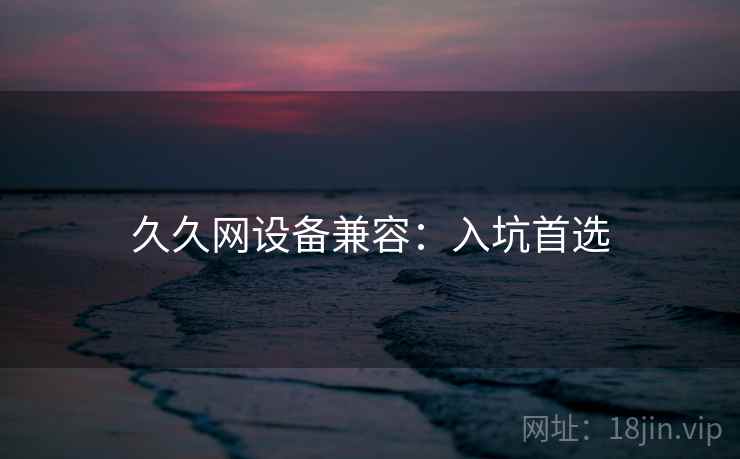 久久网设备兼容：入坑首选