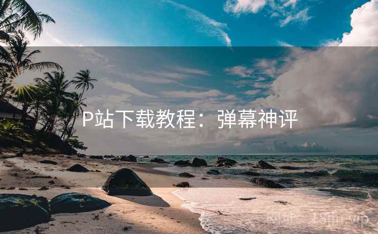 P站下载教程：弹幕神评
